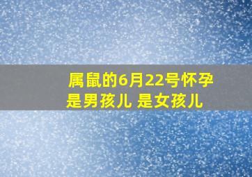 属鼠的6月22号怀孕 是男孩儿 是女孩儿